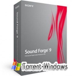 Sony Sound Forge 9e (2008) Скачать торрент