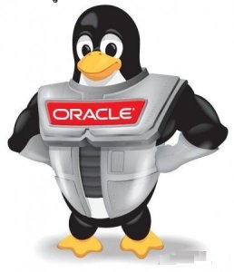 Oracle Linux Server 6 Update 2 (x86, x64)