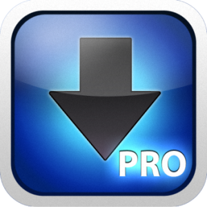 [+iPad] iDownloader Pro [v1.3, Utilites, iOS 4.1, RUS]