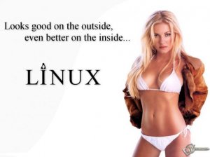 [x86] Aleks-Linux v.1 (2012) Русский присутствует