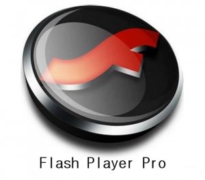 Flash Player Pro v5.1 (2012) Английский