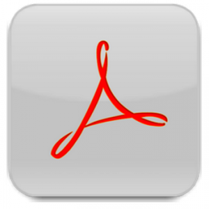Adobe Acrobat X Professional 10.1.3 Final (2012) Русский присутствует