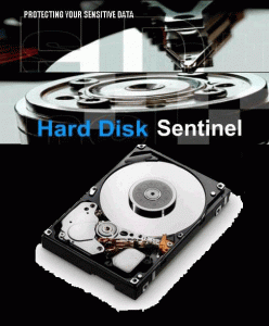 Hard Disk Sentinel Pro v4.00 Build 5237 Portable (2012) Русский присутствует