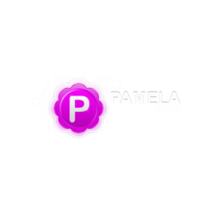 Pamela for Skype Professional Edition 4.8.0.85 (2012) Русский присутствует