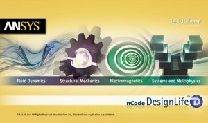 ANSYS 14.0 nCode DesignLife 7.0 ISR2 96 (2012) Английский