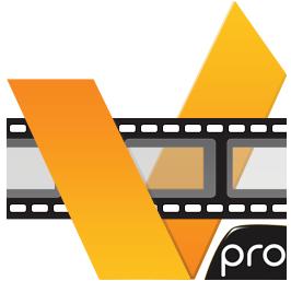 ACD Systems acdVIDEO Converter 2 Professional 2.0.23 (2012) Русский + Английский