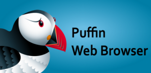 [+iPad] Puffin Web Browser [2.3.0, Утилиты, iOS 4.3, ENG]