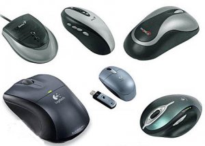 Компьютерная мышка: выбор (2012) DVDRip / Computer mouse: selection (2012) DVDRip