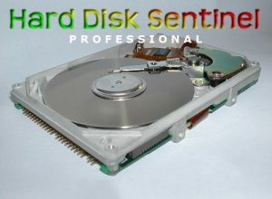 Hard Disk Sentinel Pro 4.30 Build 6017 Final (2013) Русский присутствует