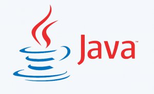 Java SE Runtime Environment 8 Dev. Build b80 (2013) Английский