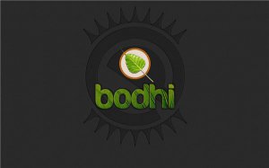 Bodhi Linux 2.3.0 [x86] (2013) Русский присутствует