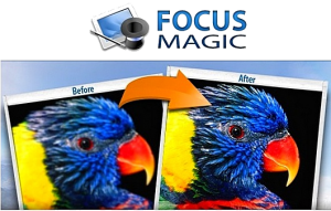 Focus Magic v4.00 Final + Portable (2013) Русский + Английский