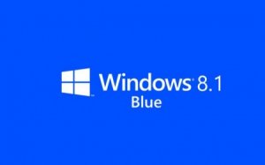 Windows 8.1 Blue x86 Professional RTM Z.S Edition 32bit+64bit v.02.09.13 TermitBOSS [2013] Русский