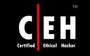 Специалист - CEH3. Расследование хакерских инцидентов (2012) PCRec