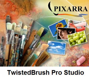 TwistedBrush Pro Studio 20.01 (2013) Английский