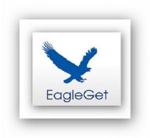 EagleGet 1.1.0.8 Final (2013) Русский присутствует