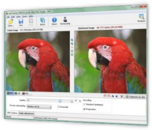 Radical Image Optimization Tool 0.5.2 RePack by Leserg [Ru]