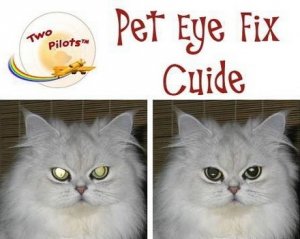 Pet Eye Fix Guide 1.4.0 (2013) [En/Ru]