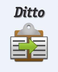 Ditto 3.18.46.0 + Portable (2013) Русский присутствует