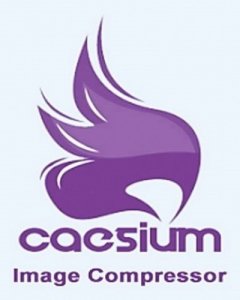 Caesium 1.7.0 Stable + Portable [Multi/Ru]