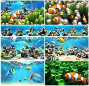 Sim Aquarium 3.6 Build 54 Premium [En]