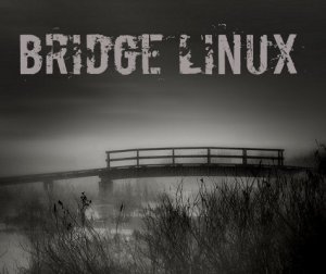 Bridge Linux 2014.02 (Arch + зоопарк рабочих столов) [i686, x86-64] 6xDVD, 2xCD