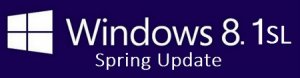Windows 8.1 x86-х64 with Update для одного языка [Ru]