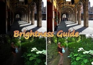 Brightness Guide 2.2 [Multi/Ru]