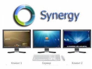 Synergy 1.5.0 [En]