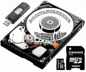 Raise Data Recovery for FAT | NTFS 5.16 RePack (& Portable) by Trovel [Multi/Ru]