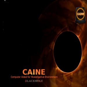 CAINE 6.0 (компьютерно-технические экспертизы, хакинг) [x86-64] 1xDVD