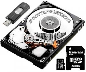 Raise Data Recovery for FAT | NTFS 5.17.1 [Multi/Rus]