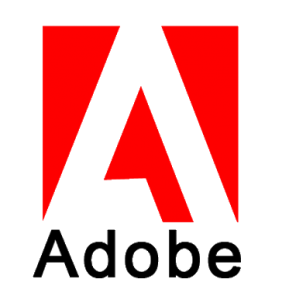 Adobe Flash Player (Internet Explorer, Mozilla, Chromium, Opera etc )
