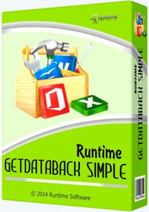 Runtime GetDataBack Simple 3.10 Portable by PortableAppZ