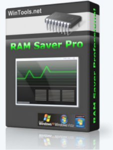 RAM Saver Professional 17.2 / ~multi