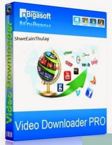 Bigasoft Video Downloader Pro 3.14.5.6352 RePack by вовава [Multi]
