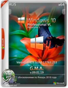 Windows 10 PRO VL RS5 (x64) G.M.A. [v.09.01.19]