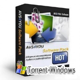 AVS DVD Player 2.4 (2010) PC