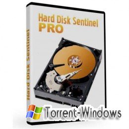 Hard Disk Sentinel Pro 3.70 Build 4981 (2011)