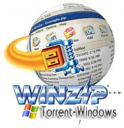 WinZip Registry Optimizer 1.0.72.1448 (2011 г.) [русский(ML)]