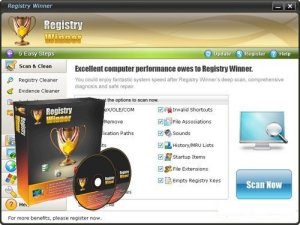 Registry Winner v6.4.12.12 (2011)