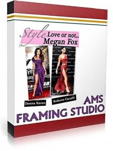 AMS Software Framing Studio 3.67 Portable (2011)