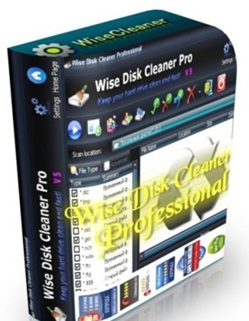 wise disk cleaner pro