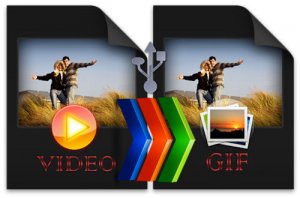 Aoao Video to GIF Converter Portable (2012) Английский