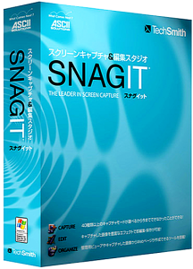 TechSmith SnagIt 11.0.0 323 RePack (2012) Русский