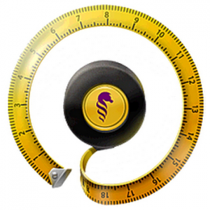 ISO Workshop 3.3 (2012) Русский присутствует