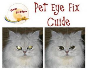 Tint Guide Pet Eye Fix Guide 1.3.1 + Portable (2012) Английский