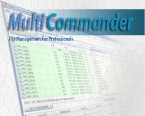 Multi Commander 3.5 Build 1500 + Portable (2013) Русский присутствует