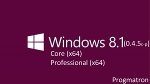 Windows 8.1 Core/Professional 6.3 9600 MSDN v.0.4.5c-p Progmatron (x64) (2014) [Rus]