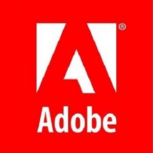 Adobe components: Flash Player 16.0.0.235 + AIR 15.0.0.356 + Shockwave Player 12.1.5.155 RePack by D!akov [Multi/Ru]